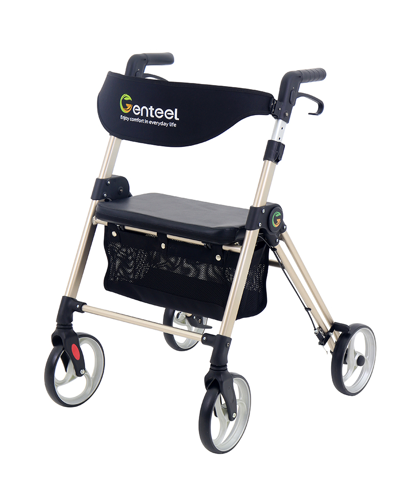 9621 Easy Stride Rollator